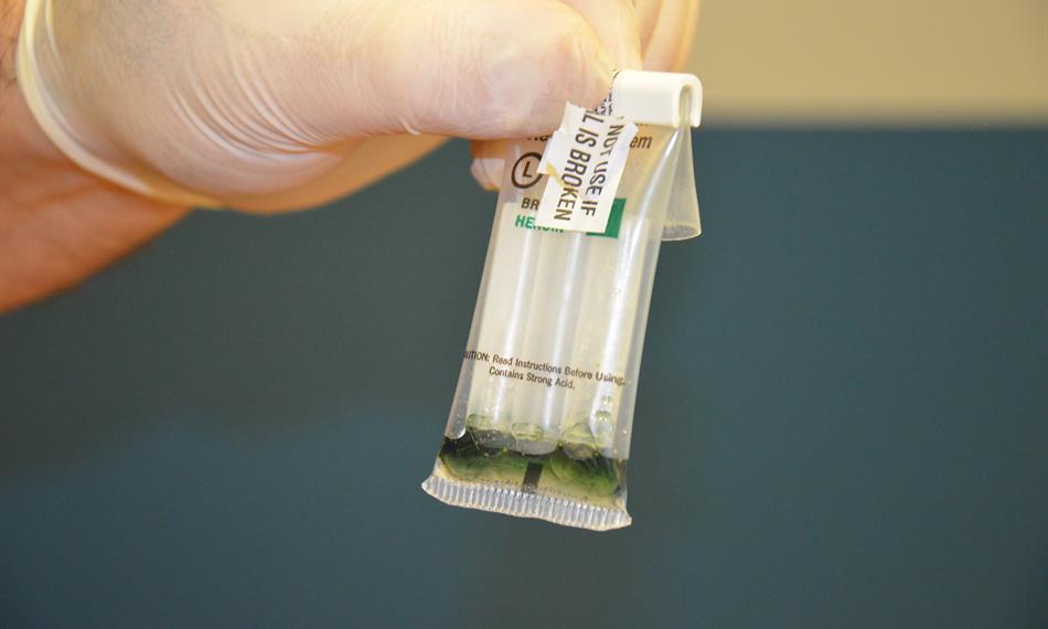 2013-2-11-1155Snímek 340.jpg